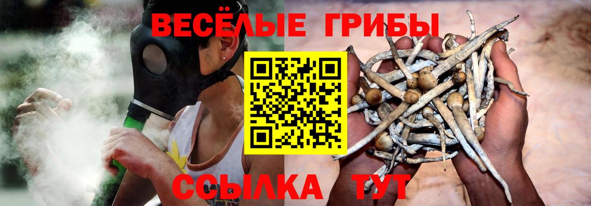 Троицк  Псилоцибиновые грибы GOLDEN TEACHER  Псилоцибиновые грибы MAGIC MUSHROOMS  Вход с VPN 