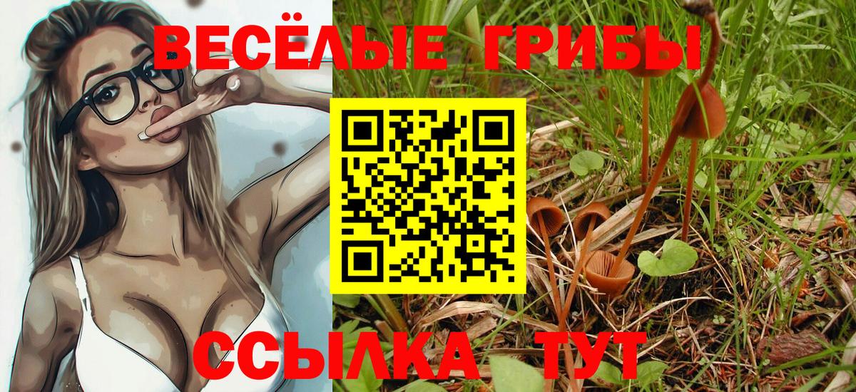 Псилоцибиновые грибы мухоморы Троицк